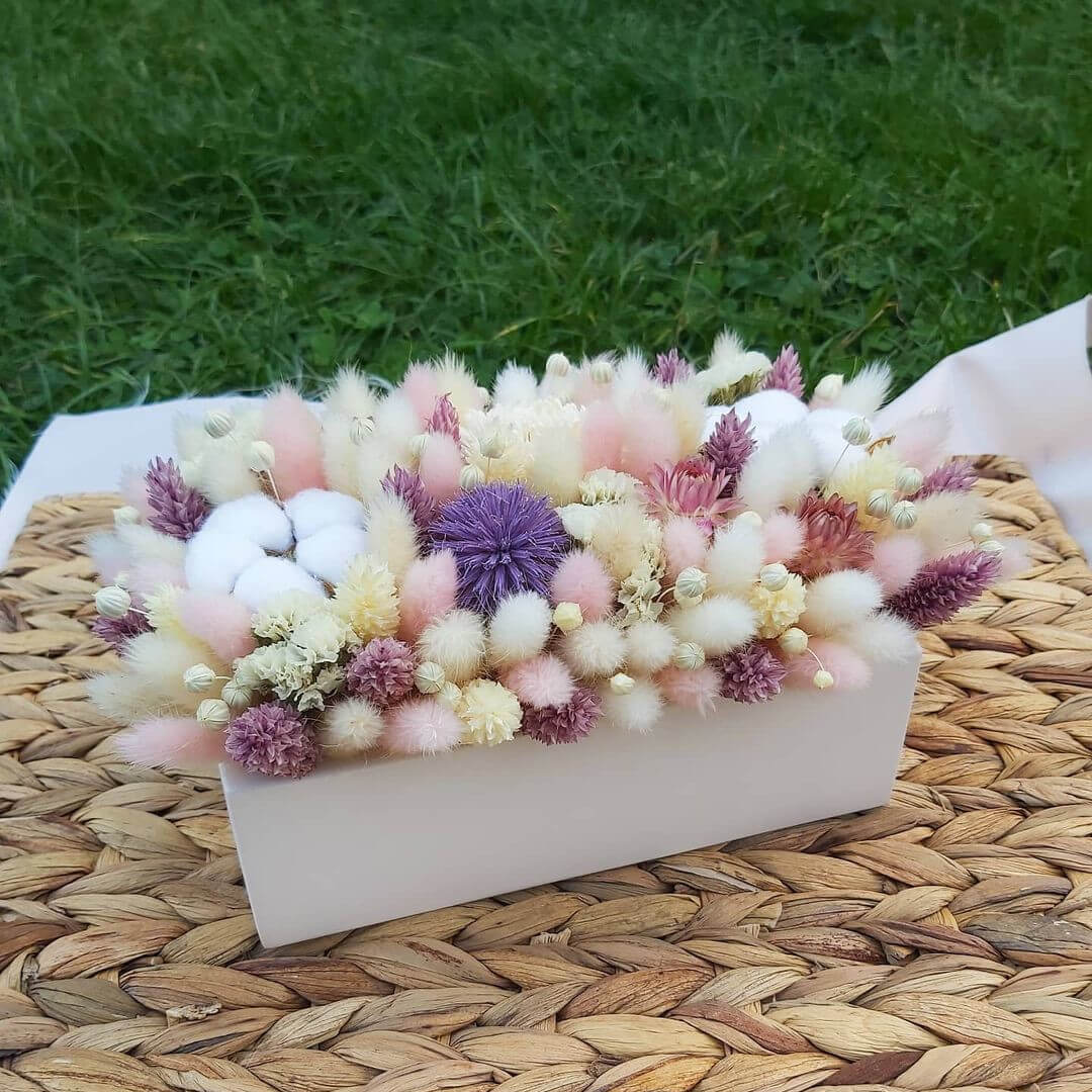 Лагурус с хлопком в кашпо - 33 шт.