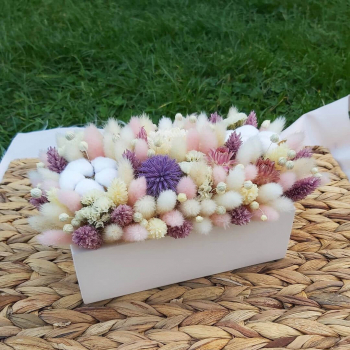 Лагурус с хлопком в кашпо - 33 шт.