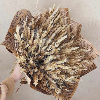 Колосья пшеницы - 41 шт.