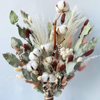 Ковыль с хлопком - 25 шт.