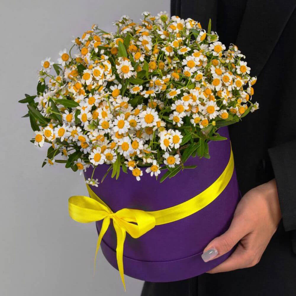 25 кустовых ромашек в коробке