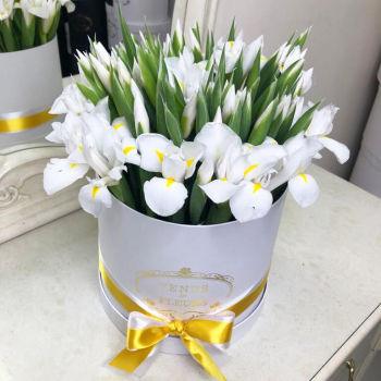 101 белый ирис в коробке