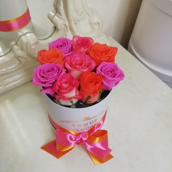 11 розово-оранжевых роз в коробке