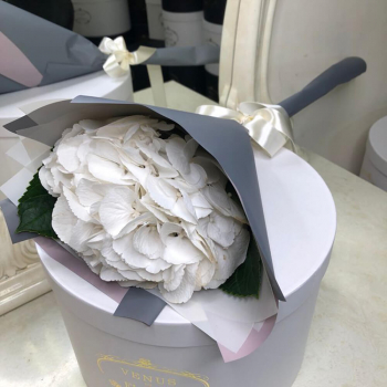 Белая гортензия в букете Белая гортензия в букете