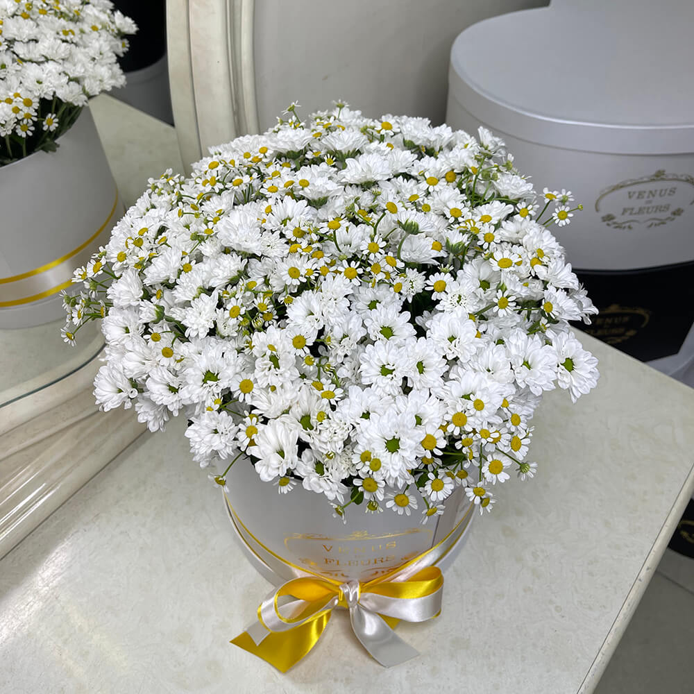 Хризантемы с ромашками - 35 шт.