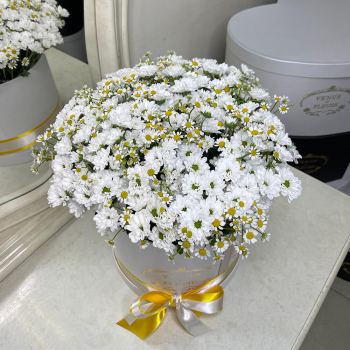 Хризантемы с ромашками - 35 шт. Хризантемы с ромашками - 35 шт.