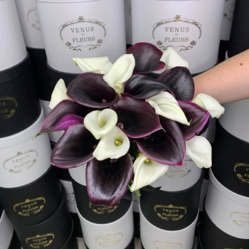 19 черно-белых калл в букете