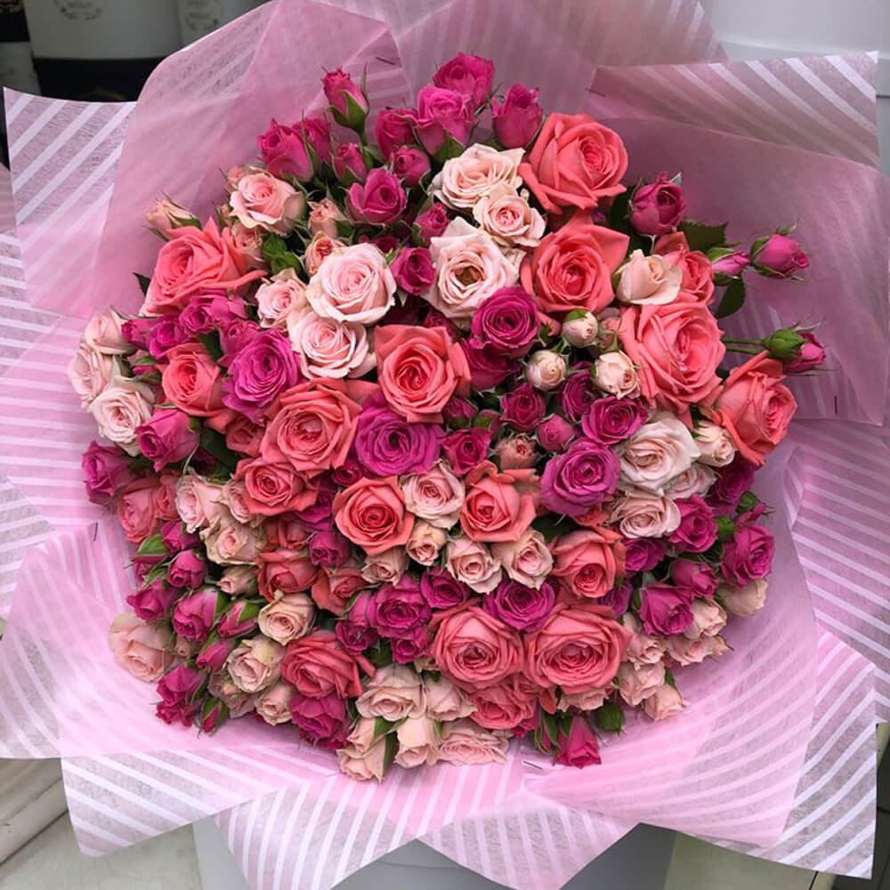 51 нежная кустовая роза