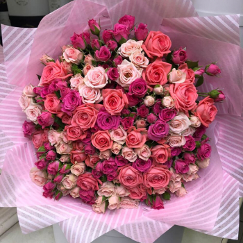 51 нежная кустовая роза