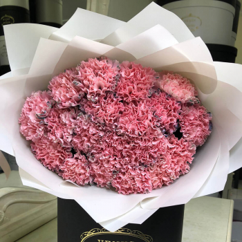 19 розовых гвоздик в букете