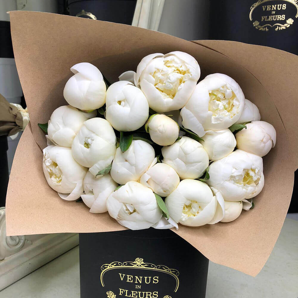 19 белых пионов