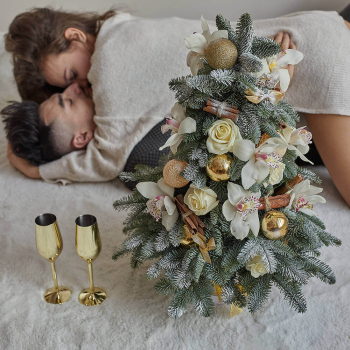 Живая Новогодняя ёлка - 70 см.