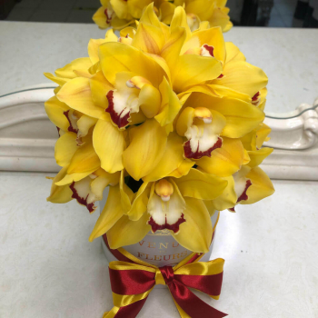 Желтые орхидеи в коробке от 13 шт.