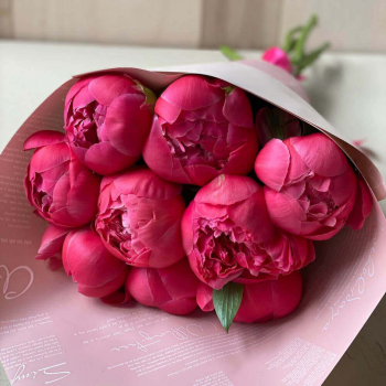 9 коралловых пионов в букете 