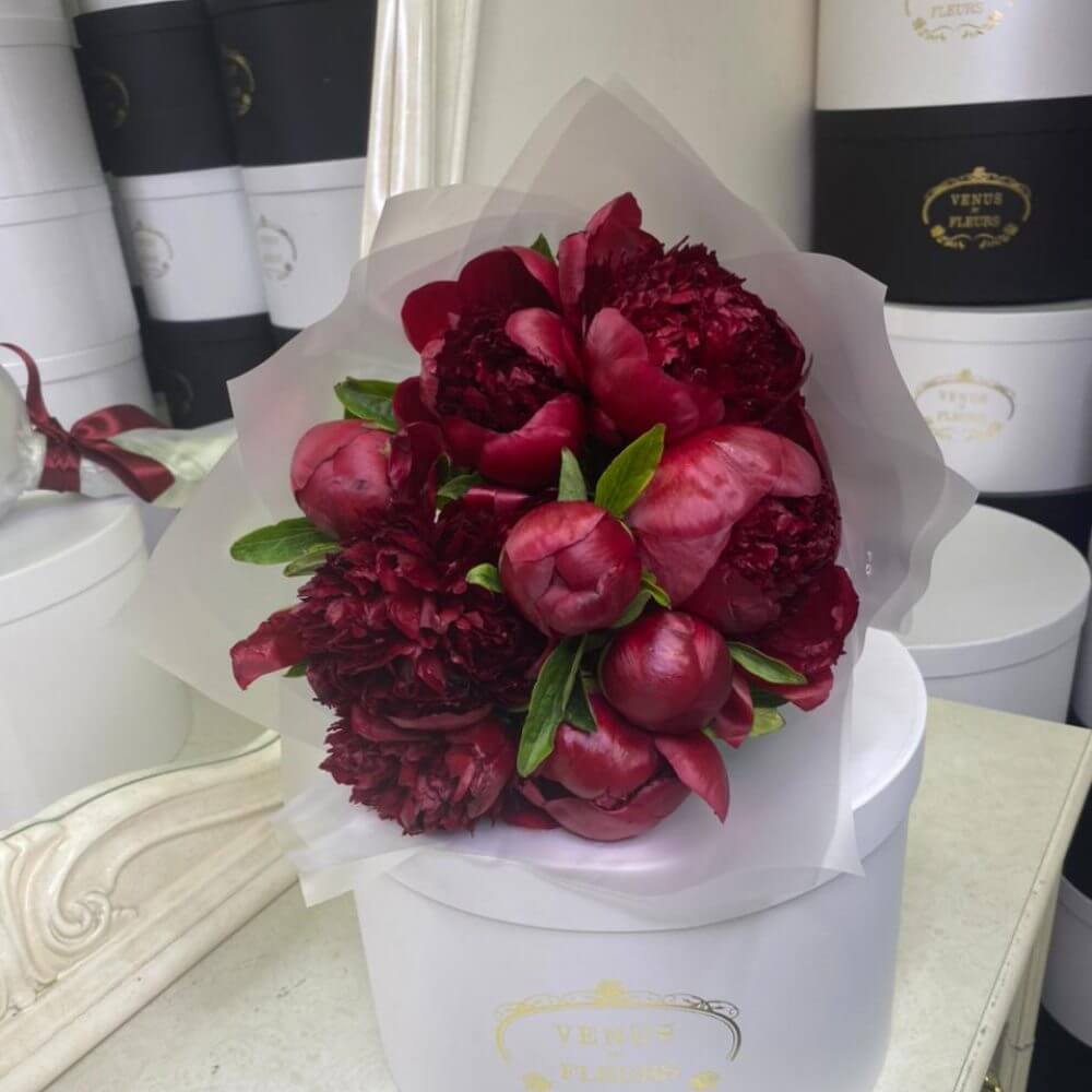 9 бордовых пионов в букете
