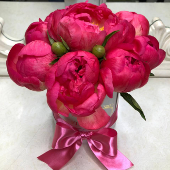 9 коралловых пионов в коробке