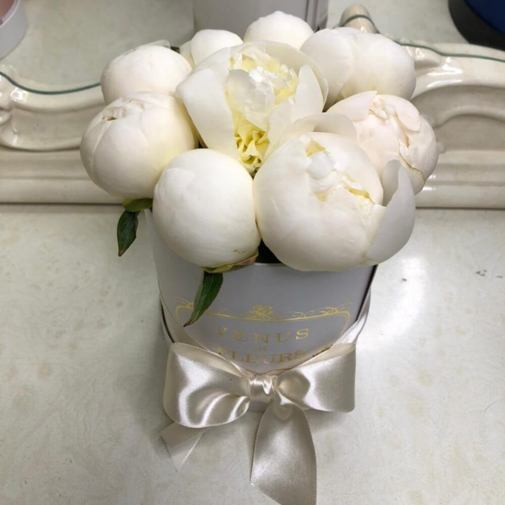 9 белых пионов в коробке