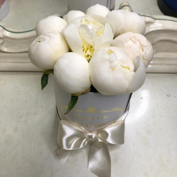 9 белых пионов в коробке