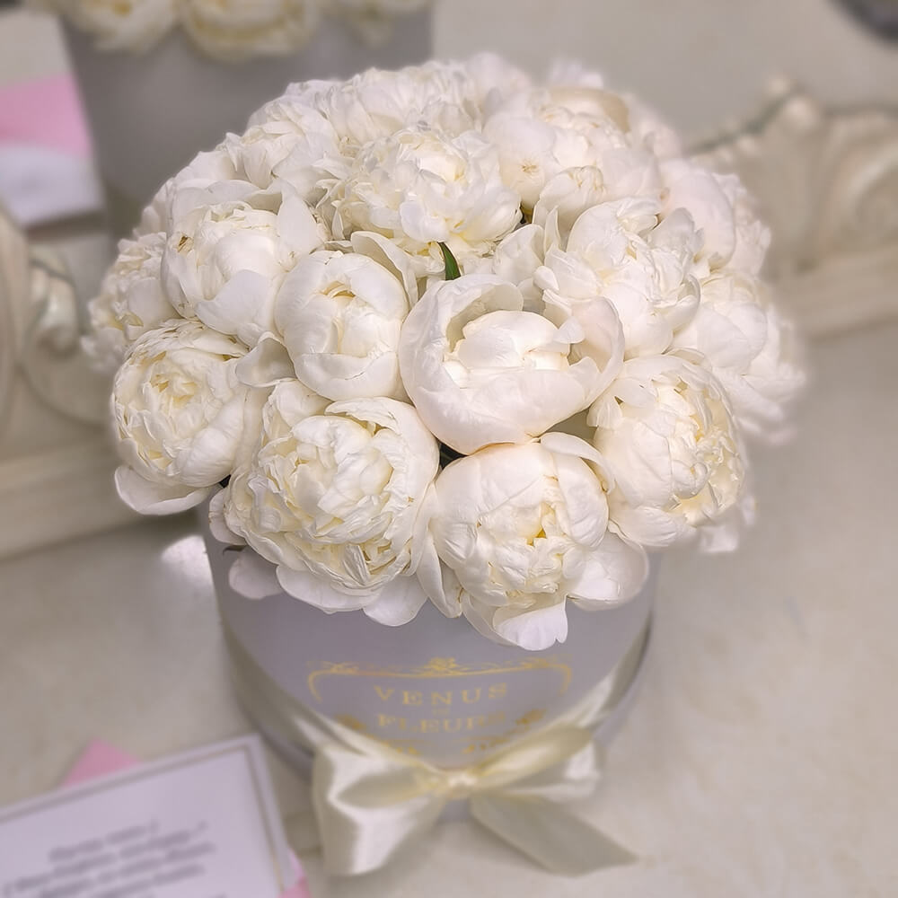 19 белых пионов в коробке