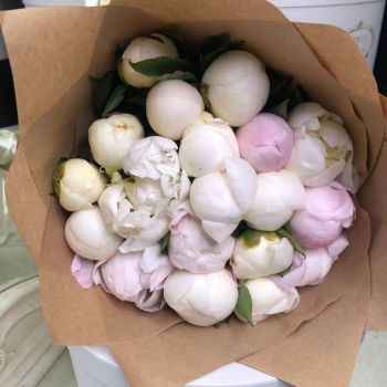 19 белых и розовых пионов в букете 