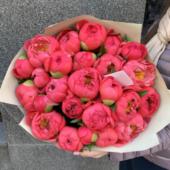 25 коралловых пионов в букете