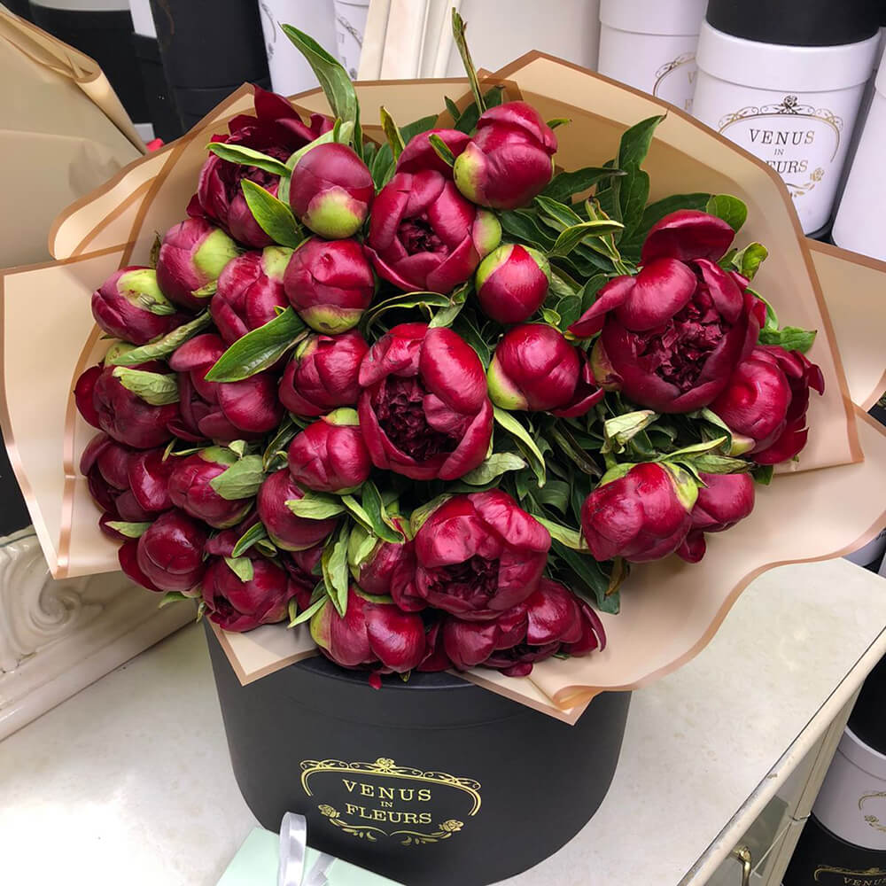 25 бордовых пионов в букете