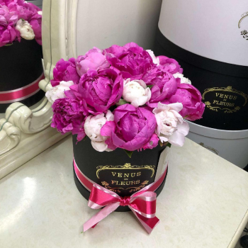 25 бело-малиновых пионов в коробке