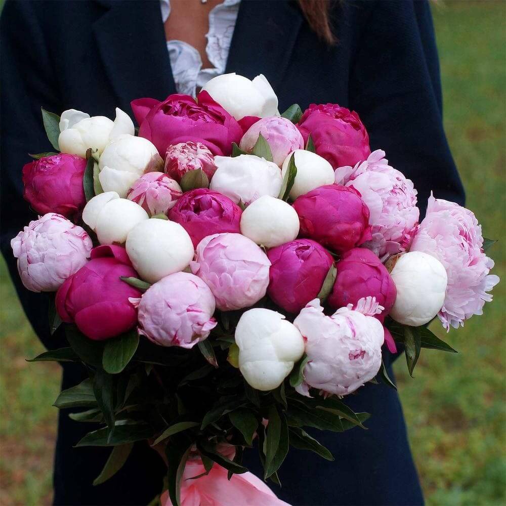 Красивый букет из 25 пионов