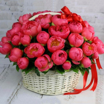 Коралловые пионы в корзине - 51 шт.