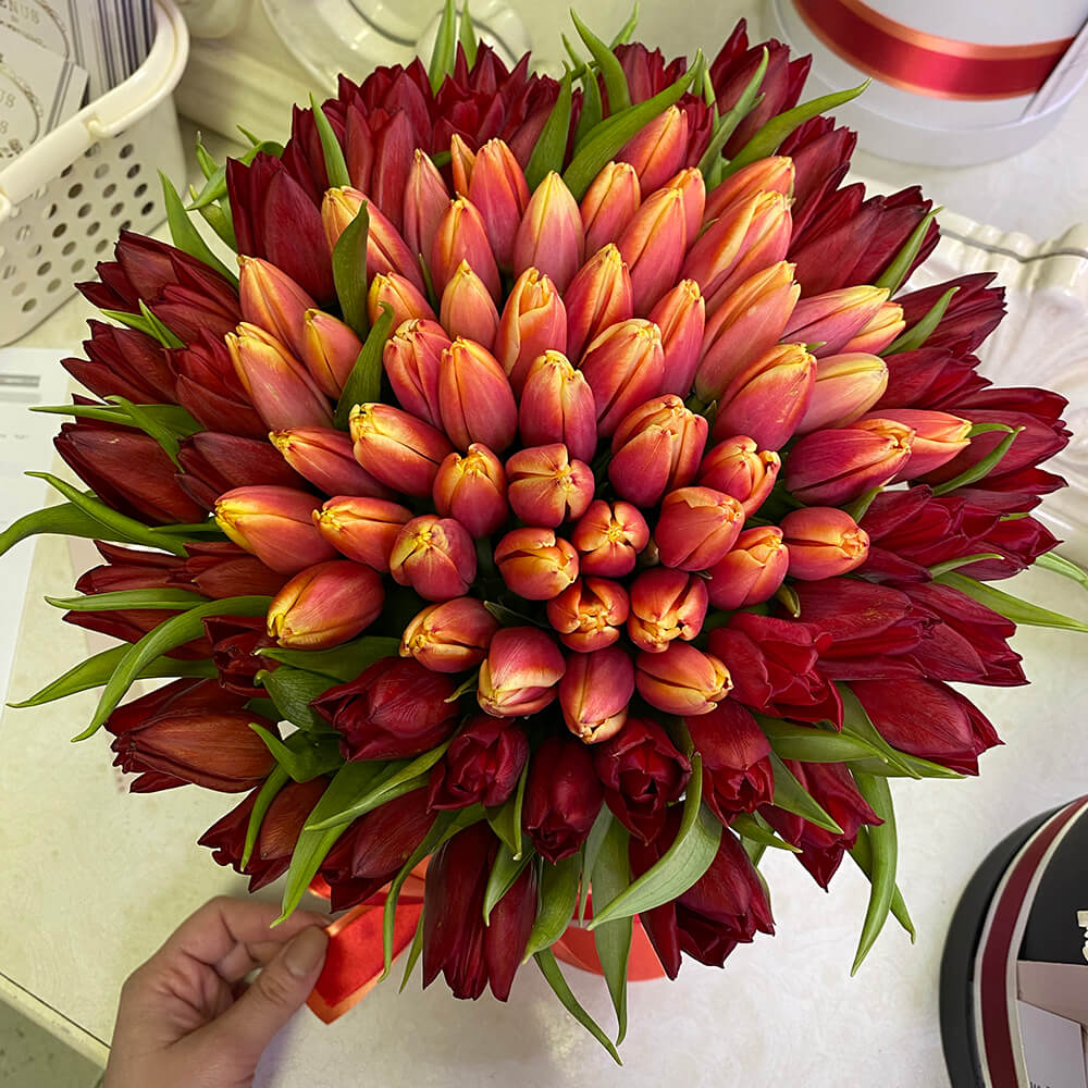 Тюльпаны "Огненная саламандра" - 101 шт.