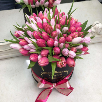 Розовый микс тюльпанов - 101 шт.