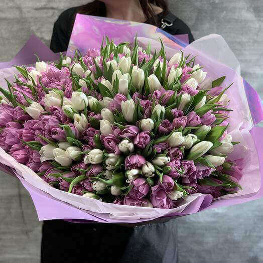 301 бело-фиолетовый тюльпан в букете