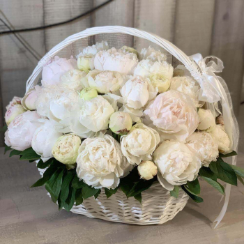 Белые пионы в корзине от 25 шт.