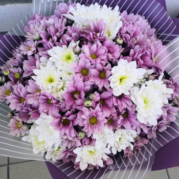 15 бело-розовых хризантем в букете 15 бело-розовых хризантем в букете