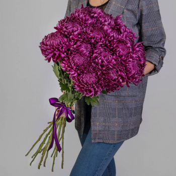 15 малиновых хризантем в букете