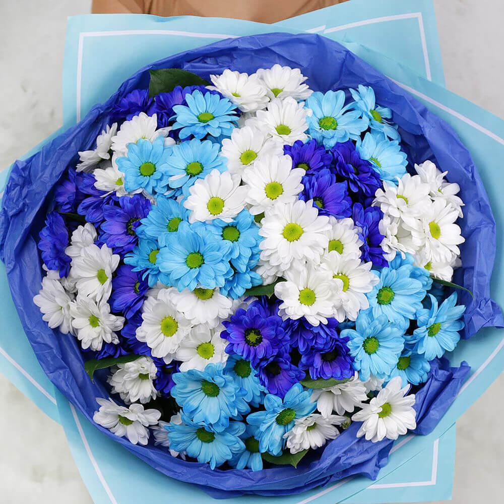 Сине-голубые хризантемы - 29 шт.