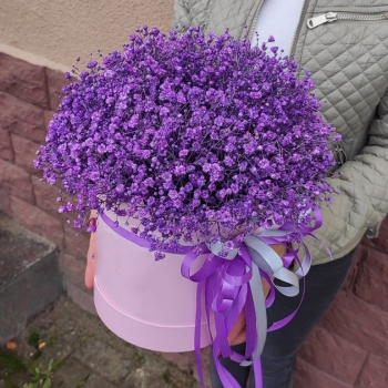 25 фиолетовых гипсофил в коробке 25 фиолетовых гипсофил в коробке