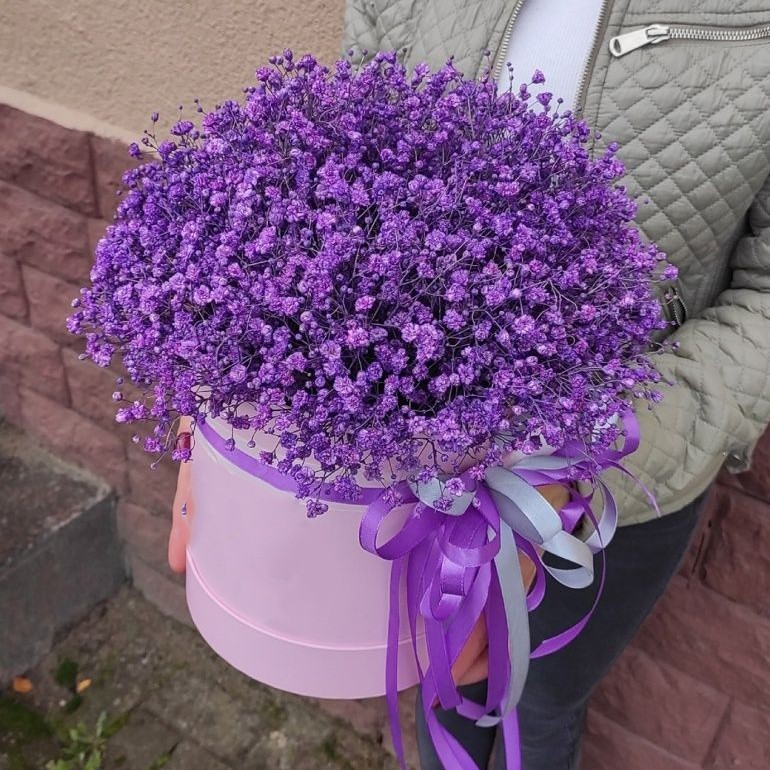 25 фиолетовых гипсофил в коробке