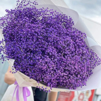 51 фиолетовая гипсофила в букете