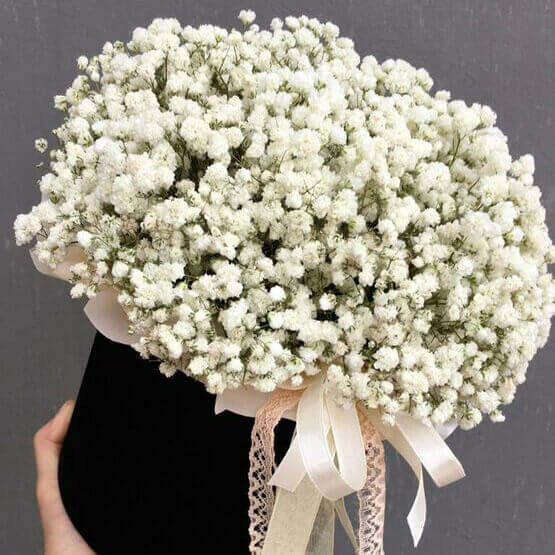 25 белых гипсофил в коробке