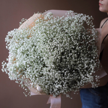 51 белая гипсофила в букете