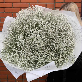 101 белая гипсофила в букете