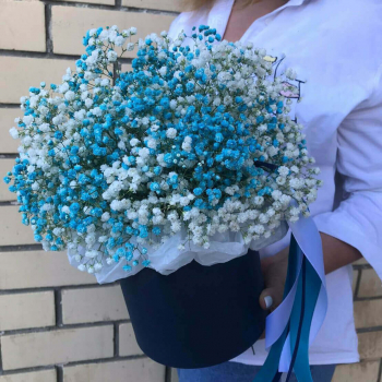 25 бело-бирюзовых гипсофил в коробке