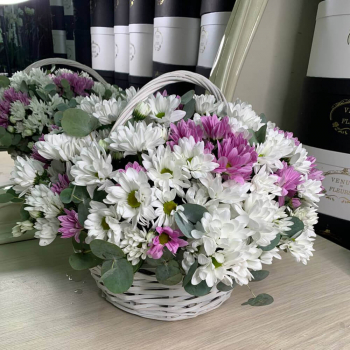 Бело-розовые хризантемы - 15 шт.