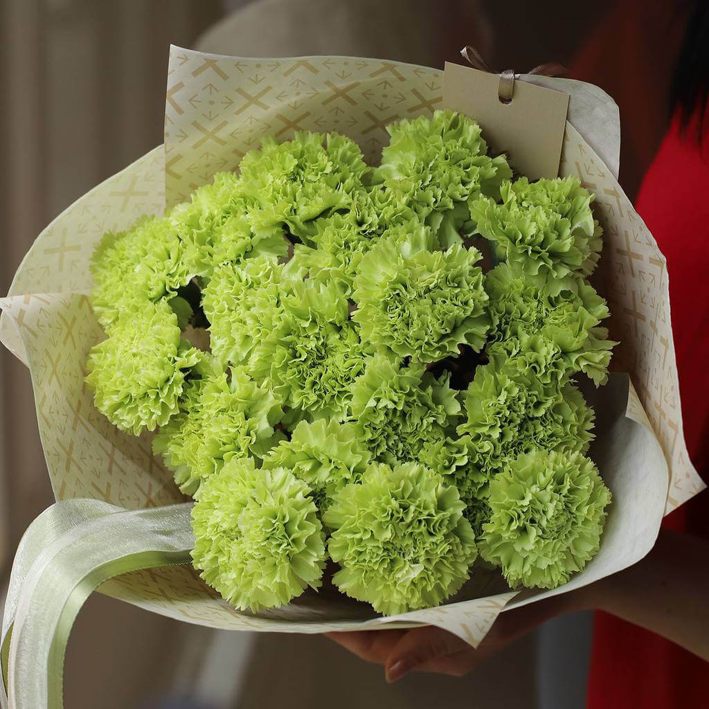 19 зеленых гвоздик в букете