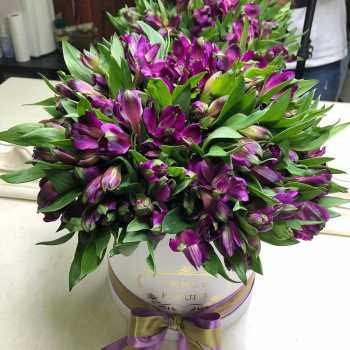 29 альстромерий в коробке