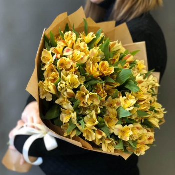 29 желтых альстромерий