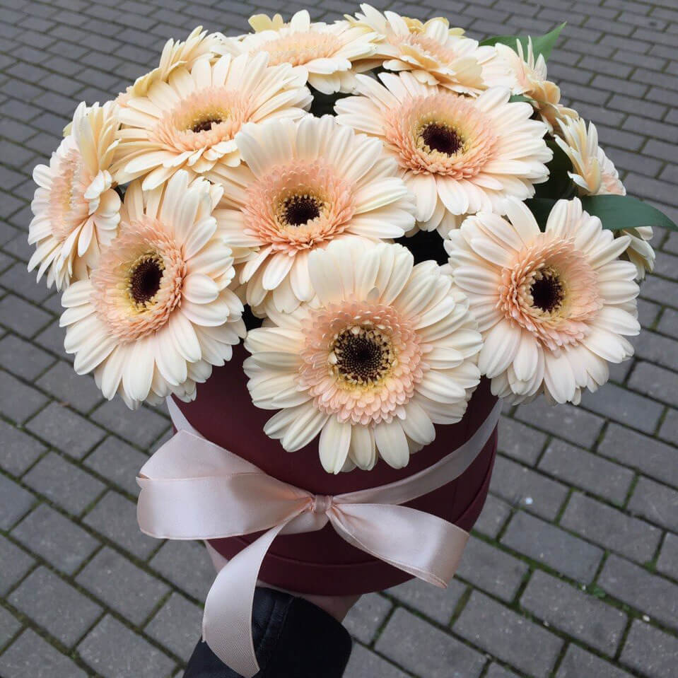 15 белых гербер в коробке