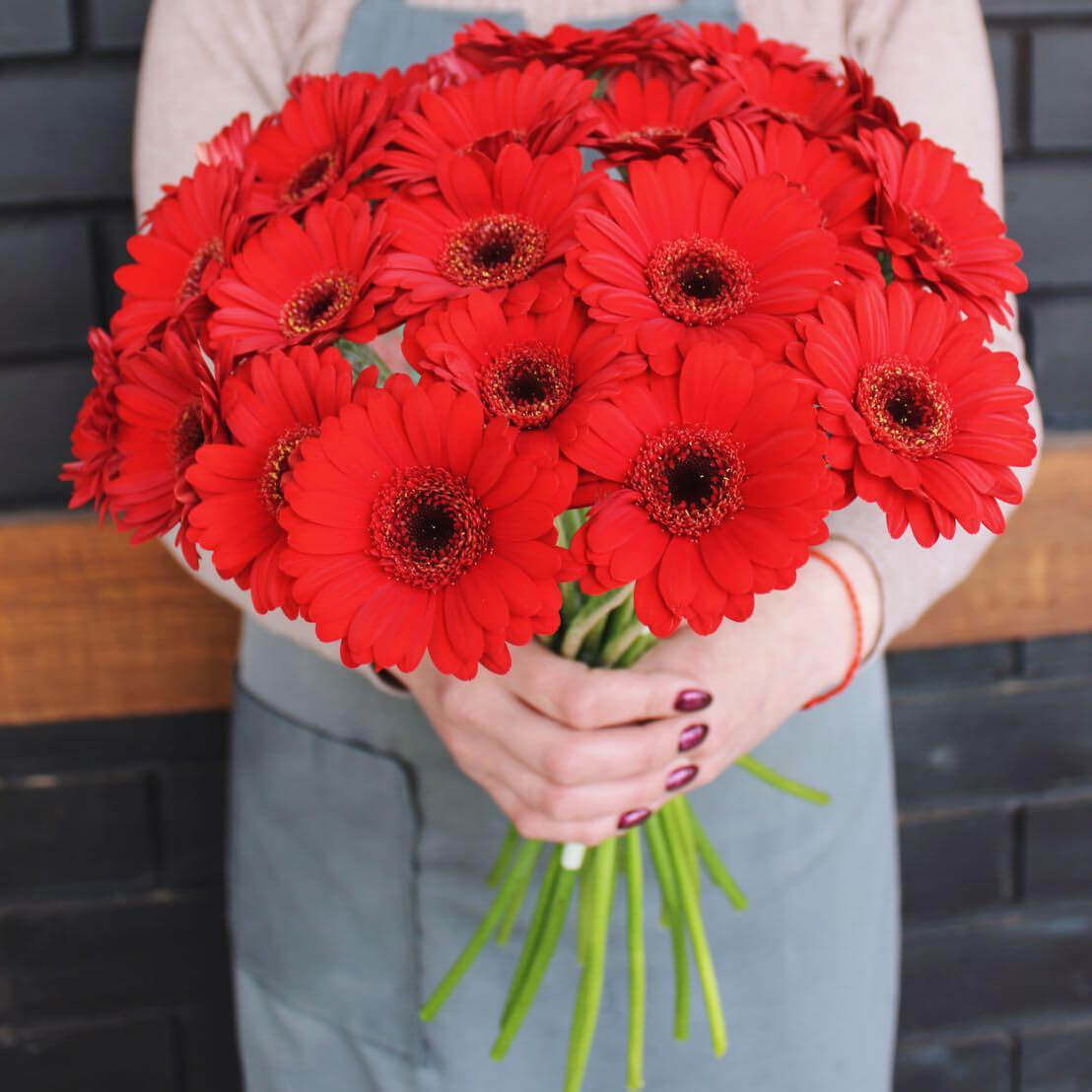 25 красных гербер в букете