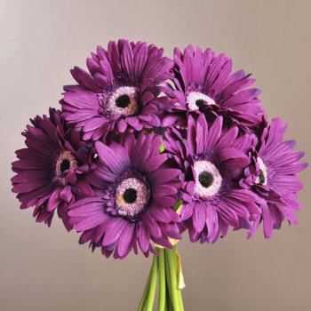 9 фиолетовых гербер в букете